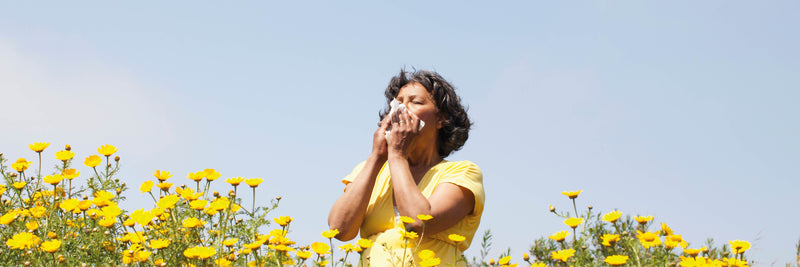 Allergies & Hayfever